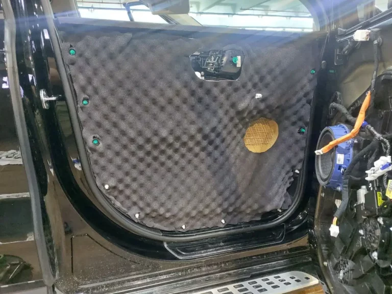 KIA Carnival двер 5