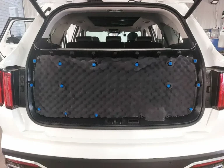 KIA Sorento 2021 баг 6
