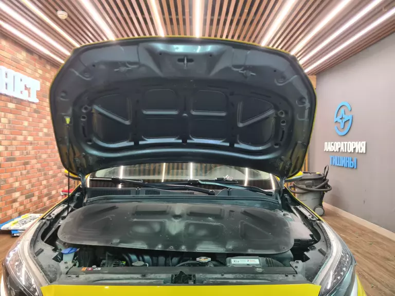 Kia Cerato капот 1