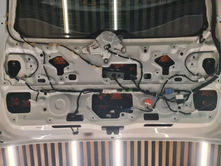Land Cruiser 300 баг 6