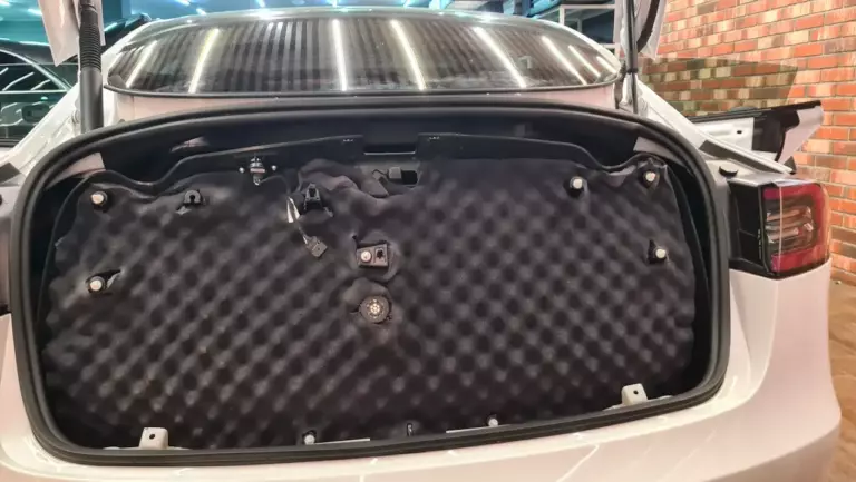 Tesla Model 3 баг 10